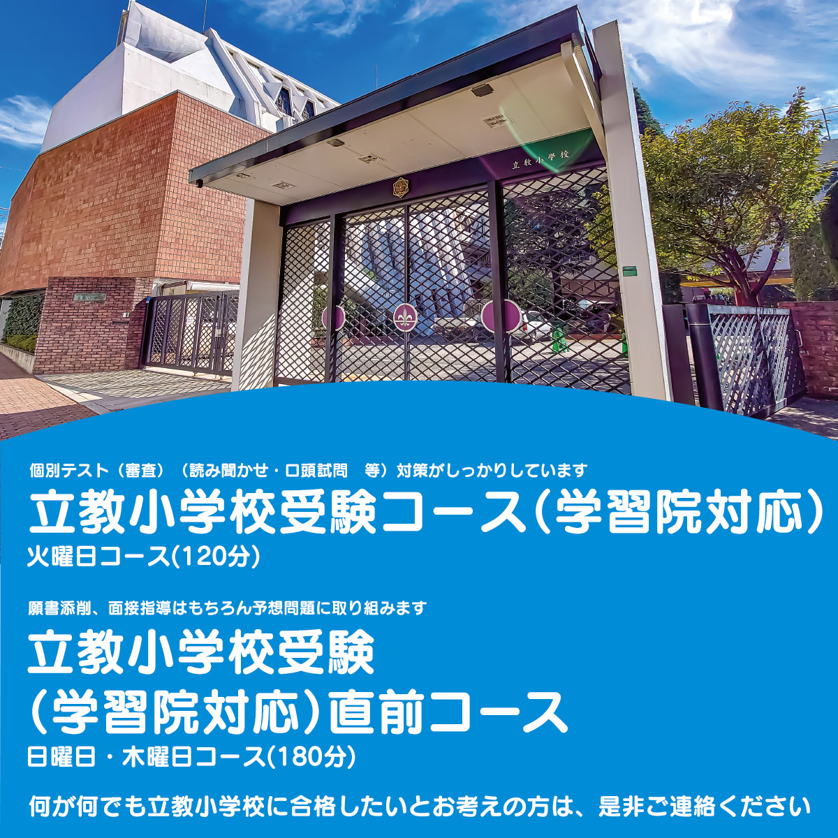 立教小学校受験コース